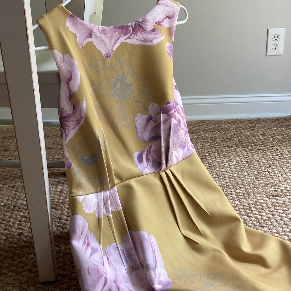 New: Ted Baker London ZOPHIAZ Dress with Pockets. US Size 10